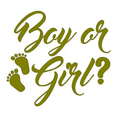 Наліпка на вогнегасник - "Boy or girl?" (матова)