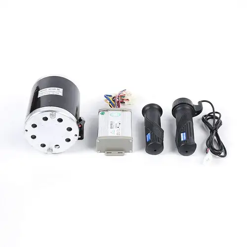 Купить Электрический щеточный двигатель постоянного тока 36 В с ...