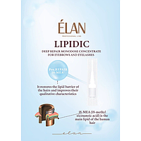 Концентрат для восстановления бровей и ресниц Lipidic Elan в монодозах