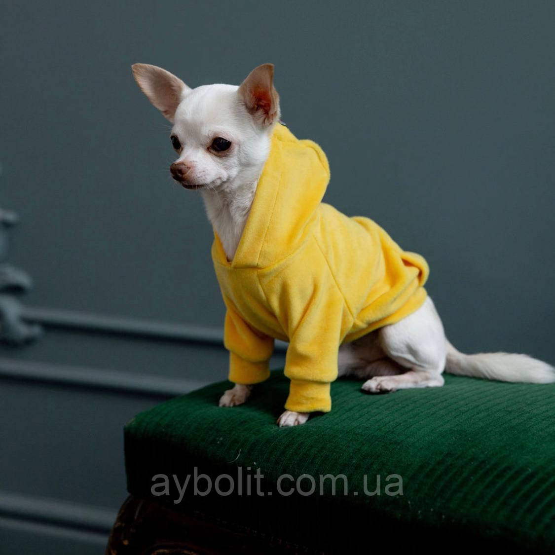 DIEGO кофта-худі прінт 5 жовтий М, фото 1