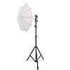 Комплект постійного студійного світла Prolight з парасольками, фото 2