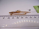 Брошка золота з діамантами та перлами. Вага 4,88 г., фото 8