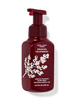 Мило-пінка для рук Frosted Cranberry від Bath and Body Works США