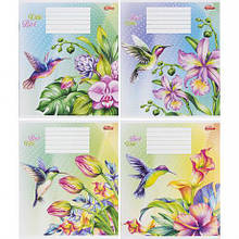 Зошит кольоровий 12 аркушів, лінія "3042" D MZOPT