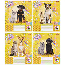 Зошит кольоровий 12 аркушів, лінія 3361 N MZOPT