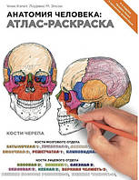 Лоуренс Элсон, Уинн Кэпит Анатомия человека. Атлас-разрисовка»