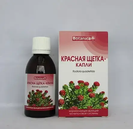 Настоянка Червона щітка краплі — нормалізація функцій сечостатевої системи 50 мл, фото 1