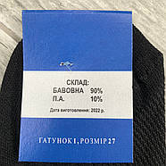 Шкарпетки чоловічі бавовна із сіткою Житомир Україна Premium, розмір 29, чорні, 08639, фото 5