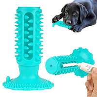 Іграшка "Кактус" із пискавкою та присоском для собак [ОПТ]