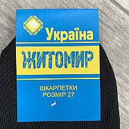 Шкарпетки чоловічі бавовна із сіткою Житомир Україна Premium, розмір 29, чорні, 08647, фото 4