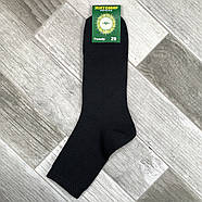 Шкарпетки чоловічі демісезонні гладкі бавовна Житомир Premium, 31 розмір, чорні, 08608, фото 2