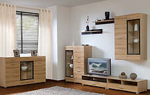 Вітрина Вушер REG 1d1wm L/P Розпродаж 1275х800х375мм дуб сонома Гербор, фото 5
