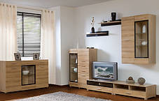 Комод Вушер 1w2d2s 935х1500х450мм дуб сонома Гербор, фото 3