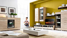 Вітрина Вушер REG 1d1wm L/P Розпродаж 1275х800х375мм дуб сонома Гербор, фото 6