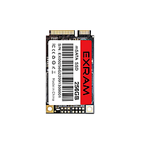 MSATA 256GB EXRAM (EXMS2563110253)