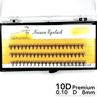 Накладні пучкові вії Nesura Eyelash Premium 10D, 0,10, D, 8 мм, 60 пучків Несура