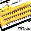 Накладні пучкові вії Nesura Eyelash Premium 10D, 0,10, D, 8 мм, 60 пучків Несура, фото 3