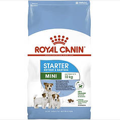 Royal Canin Mini Starter Сухий корм для собак дрібних порід у період вагітності та лактації 1кг