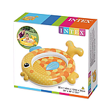Дитячий надувний басейн Intex 57111 (140-124-34 см) Золота рибка, фото 3