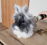 Бездротова машинка для стрижки собак Purlov, фото 10