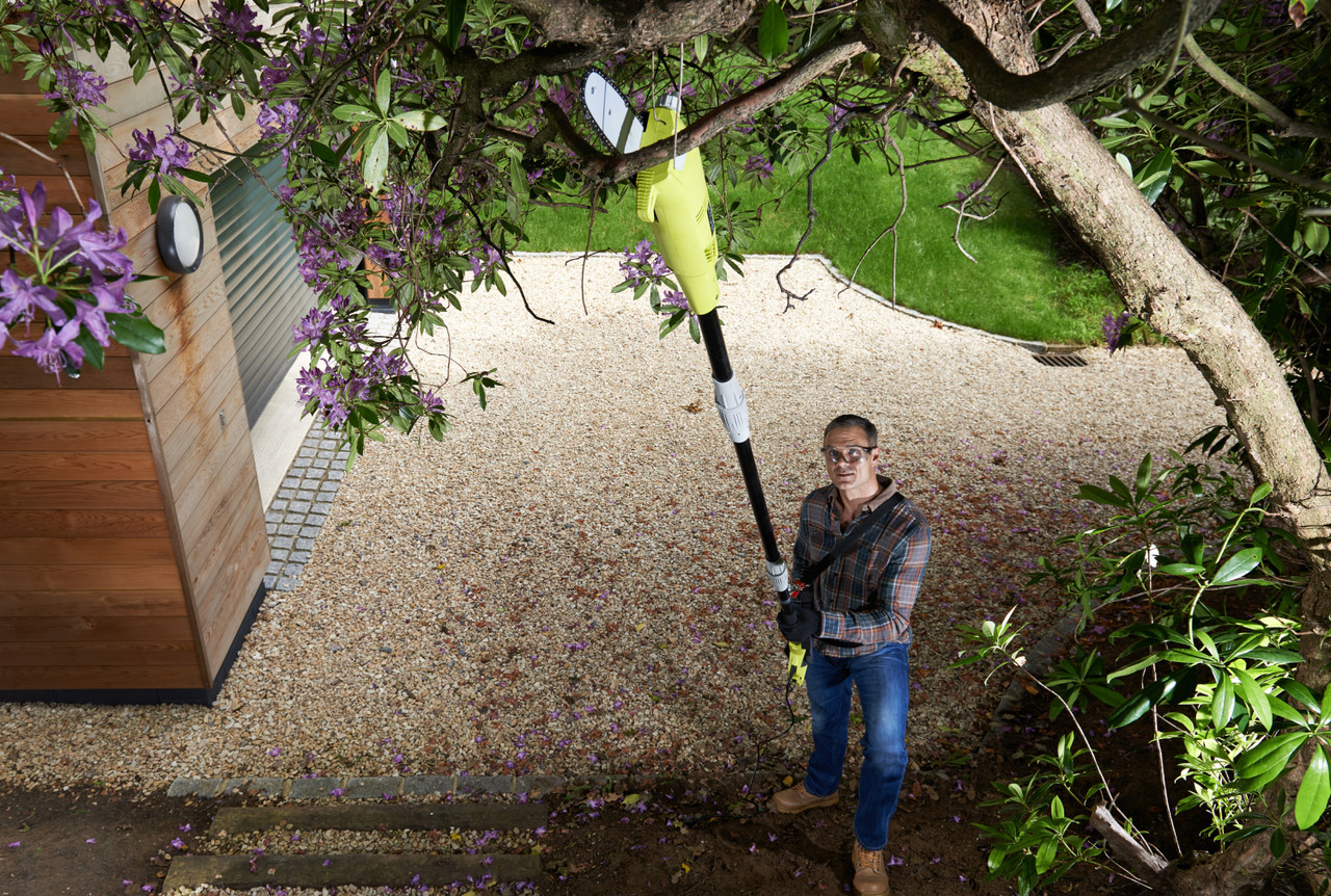 Ryobi Висоторіз-кущоріз RP750450 750/450 Вт, шина 20 см. Oregon, фото 1