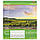 Зошит шкільний 18 листів клітка, серія "Краса природи", білизна 100%, фото 2