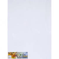 Від 2 шт. Папір для креслення А2 AmberGraphic "Графіка" 10 аркушів, 200г/м², в п/п пакеті купити дешево оптом в інтернет-магазині