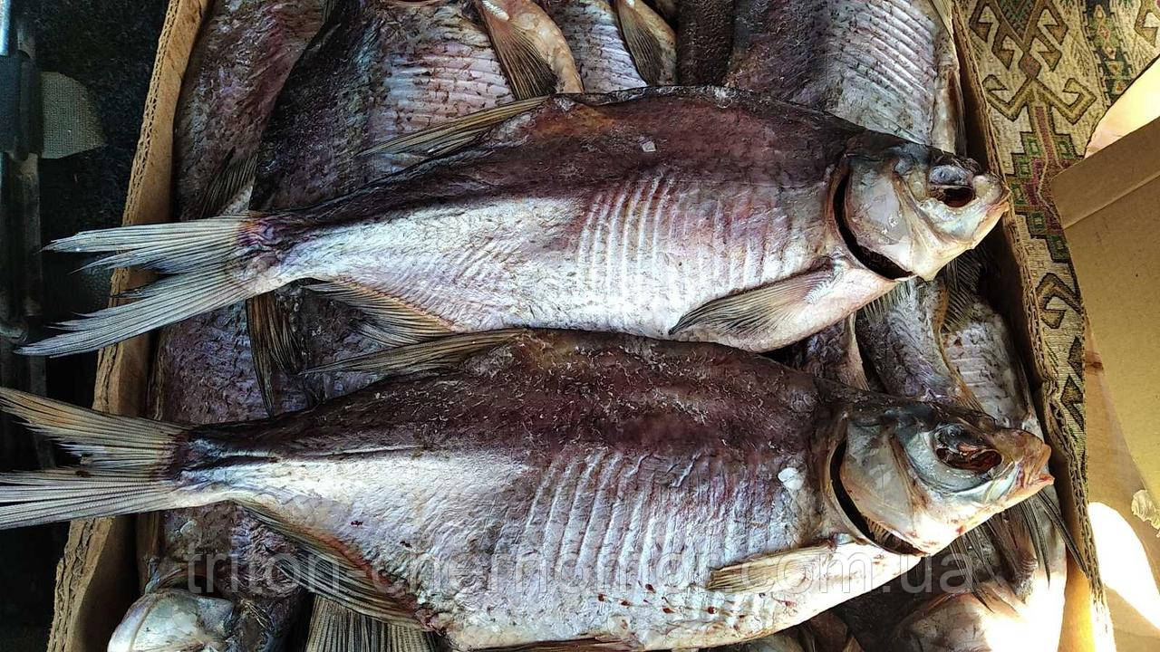 Лящ в'ялений з ікрою/