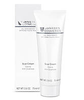 Retexturising Scar Cream - Цілющий крем на шрами рубці, 75 мл