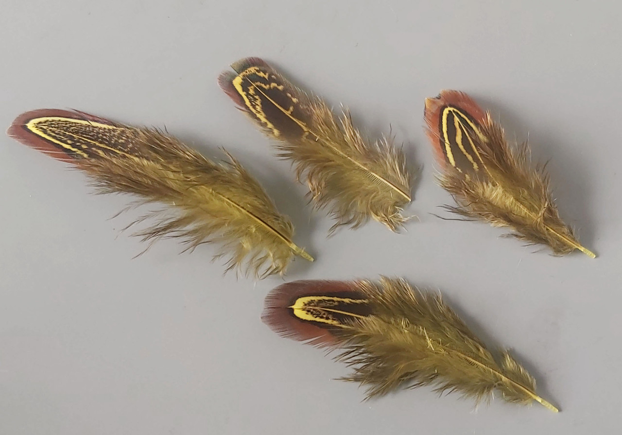Пір'яна фазана оливкове 4-8 см/50 шт.