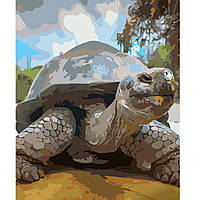 Картина по номерам Strateg Взрослая черепаха размером 40х50 см (GS582)