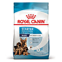 Корм для новонароджених цуценят великих порід собак ROYAL CANIN MAXI STARTER 4 кг