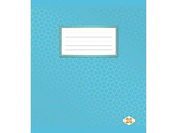 Зошит в клітинку 24арк. Фоновий Шкільний 20шт/уп ТМ ТЕТРАДА FG, фото 1