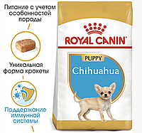 Сухой корм для щенков Royal Canin Chihuahua Puppy 500 гр