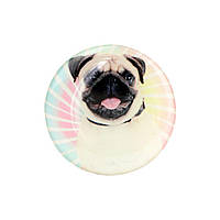 Попсокет держатель-подставка для смартфона ANCHOR PopSocket Circle Pug 11 Разноцветный