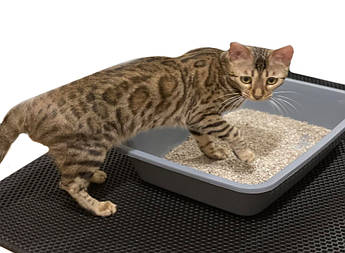 Ева килимок під котячий лоток РОМБ 800*300*10мм