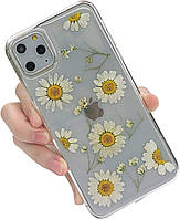 Чехол для мобильного телефона iPhone 11 Пластик TPU с настоящим цветком Ромашка Сухостой
