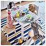 Дитячий табурет IKEA FLISAT (ІКЕА FLISAT). 40273593. Дерев'яний, фото 3