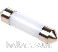 C5w  360` 36mm...