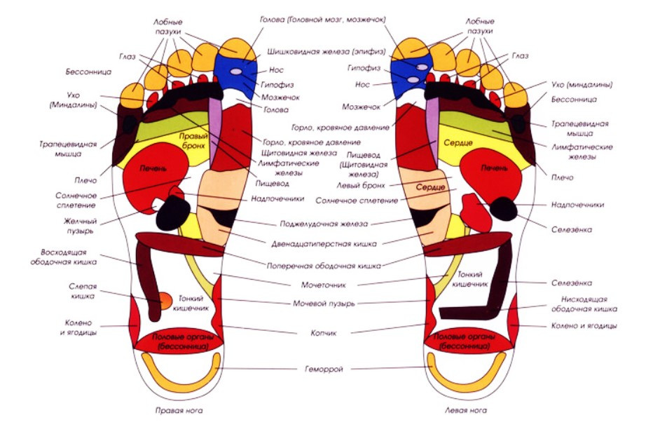 Вибромассажер для ног Shiatsu Foot Massager | Массажер для ног электрический bs - фото 10 - id-p1849273255