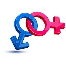 Оновлення сайту 