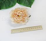 Голова півонії кучерявої 11см. Персиковий, фото 2