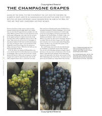 The Treasures of Champagne, фото 6