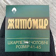 Шкарпетки чоловічі бавовна із сіткою Житомир, Україна, розмір 41-45, чорні, 080-011, фото 3
