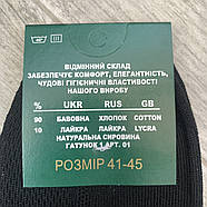Шкарпетки чоловічі бавовна з сіткою Житомир, Україна, розмір 41-45, асорті, 080-011, фото 6