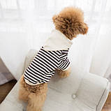 Худі для собак з капюшоном, фото 8