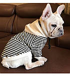 Худі для собак з капюшоном, фото 7