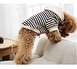 Худі для собак з капюшоном, фото 9