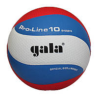 Мяч волейбольный Pro-Line 10 Gala BV5581S, №5, Toyman