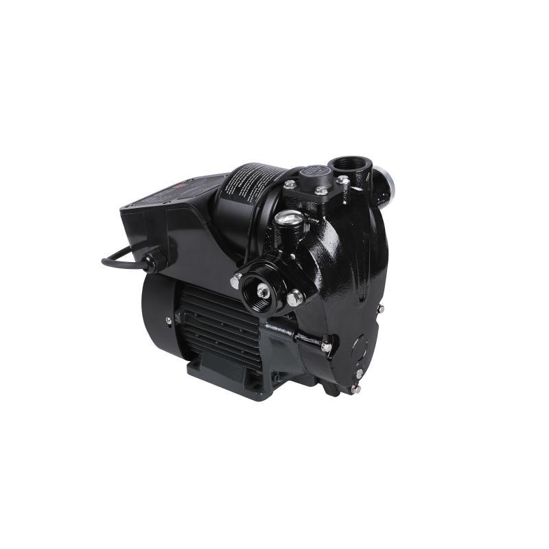 Насосна станція з автоматикою Thermo Alliance AWZB-480N 0,48 кВт, фото 1